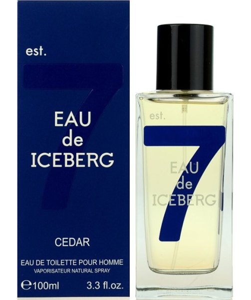 Туалетная вода мужская Iceberg 74 Eau de Iceberg Cedar EDT 100 ml ...