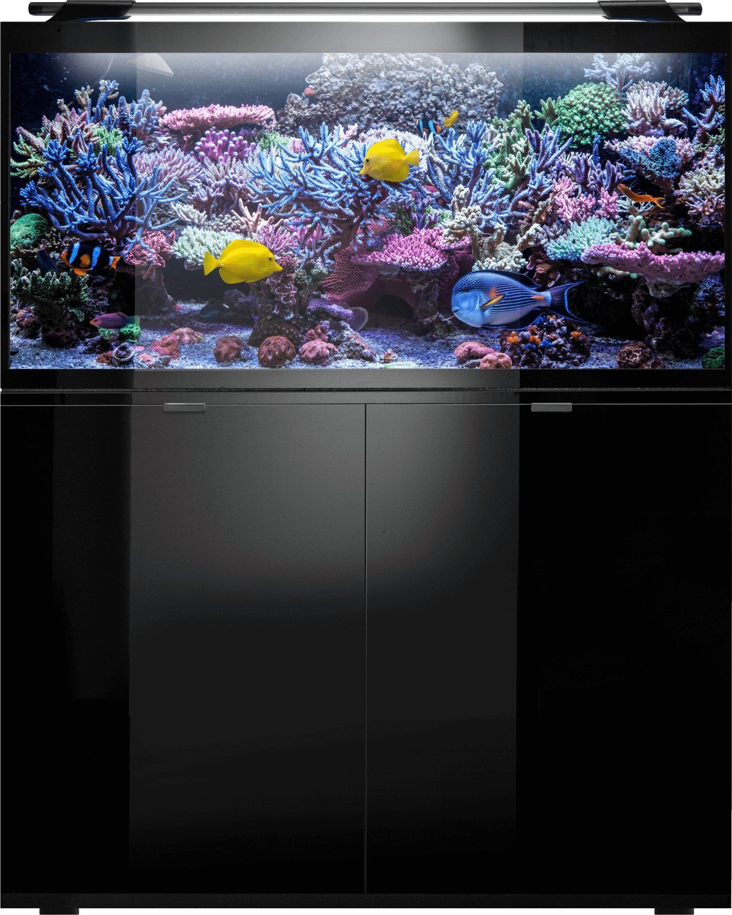 Аквариум Aquael Glossy Marine 120 Set Black (350L) (115509) купить ...