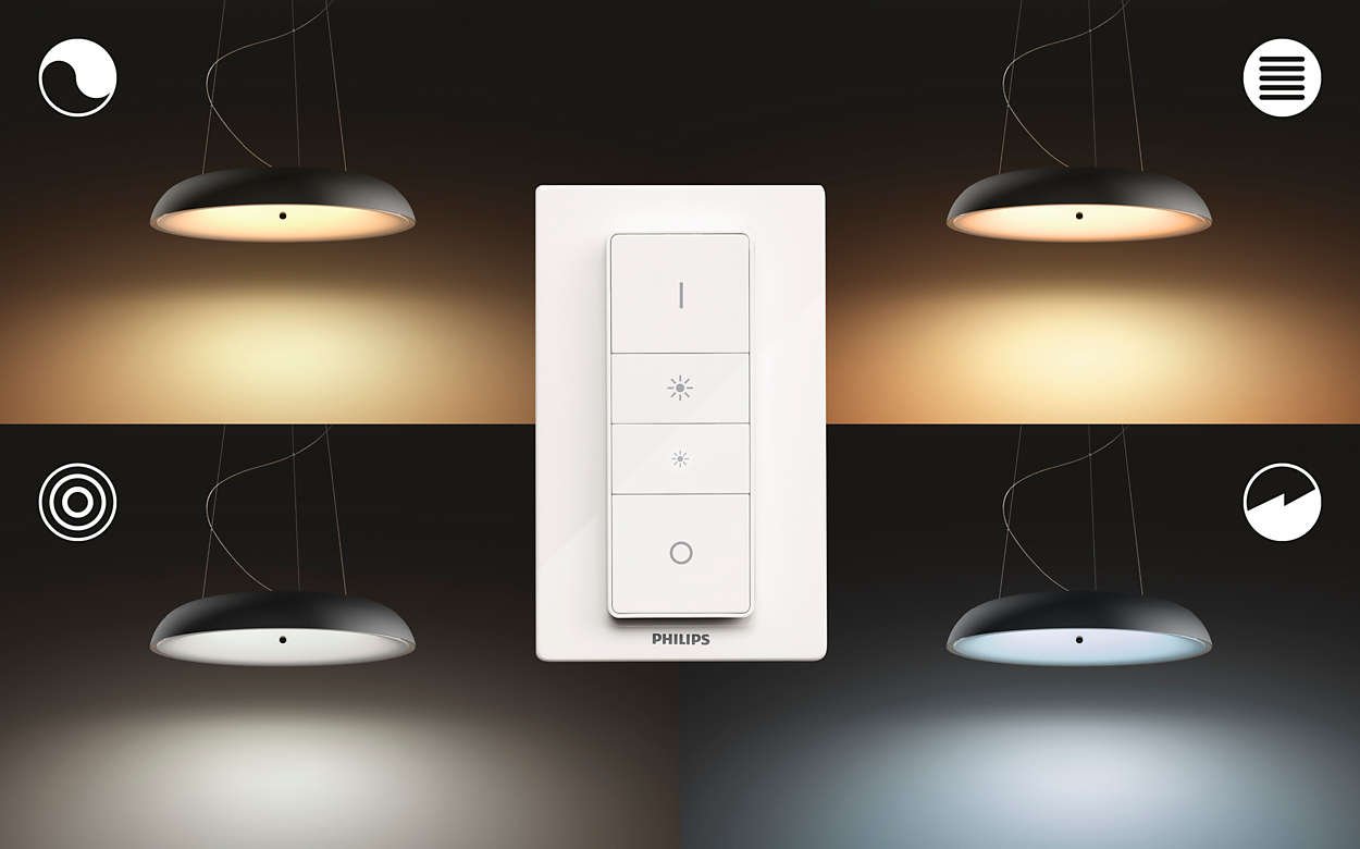 Светильник Philips Amaze Hue Pendant Black 1x39W (40233/30/P7) купить ...