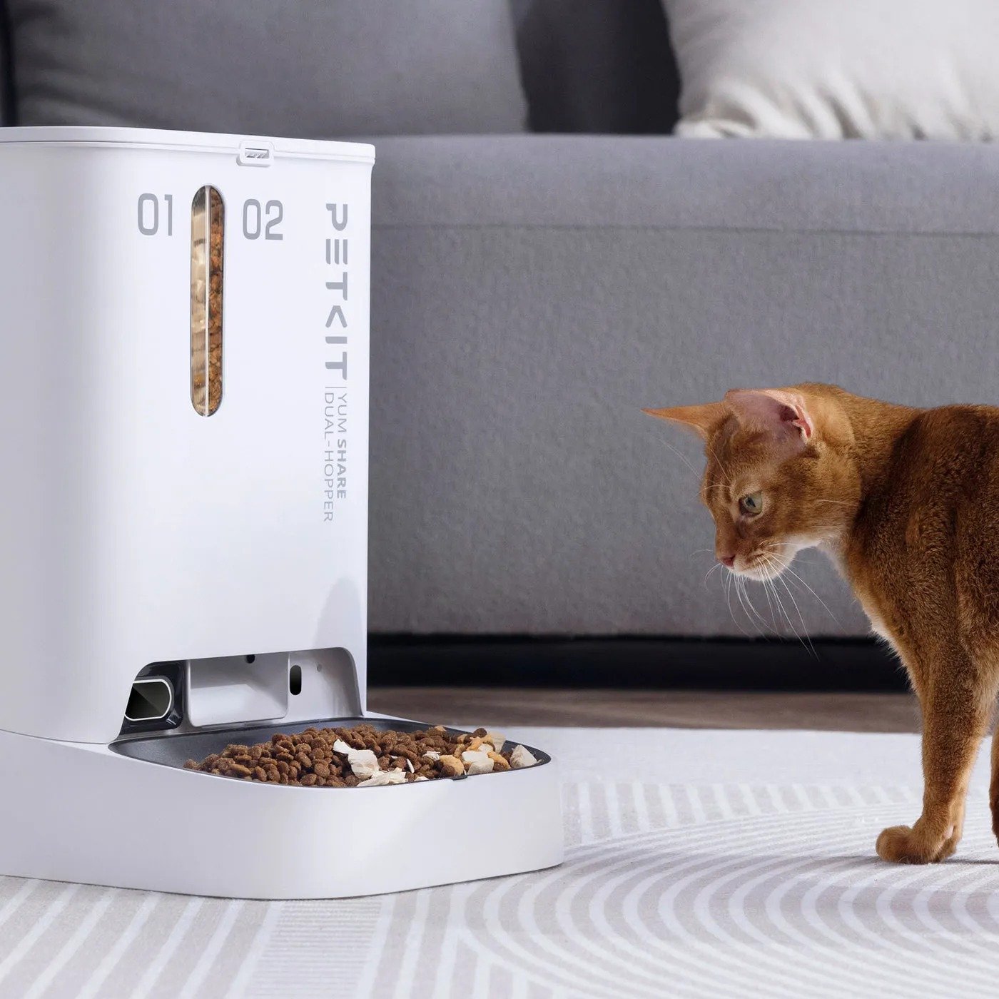 PETKIT Yumshare Dual-Hopper Camera Feeder (P591)