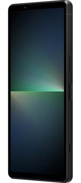 Мобільний телефон Sony XPERIA 5 V 8/256GB Black Global купити