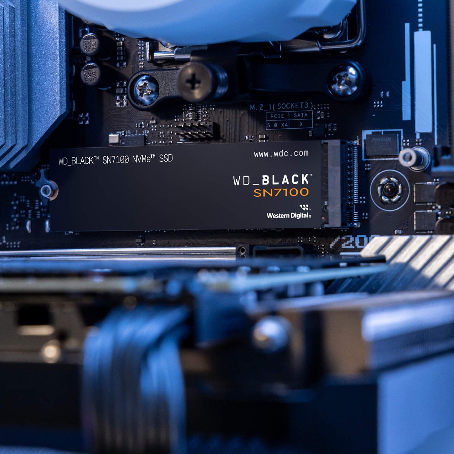 SSD-накопитель M.2 1TB WD Black SN7100 (WDS100T4X0E) купить